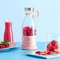 Rechargeable Mini Juicer Portable Bottle Blender
