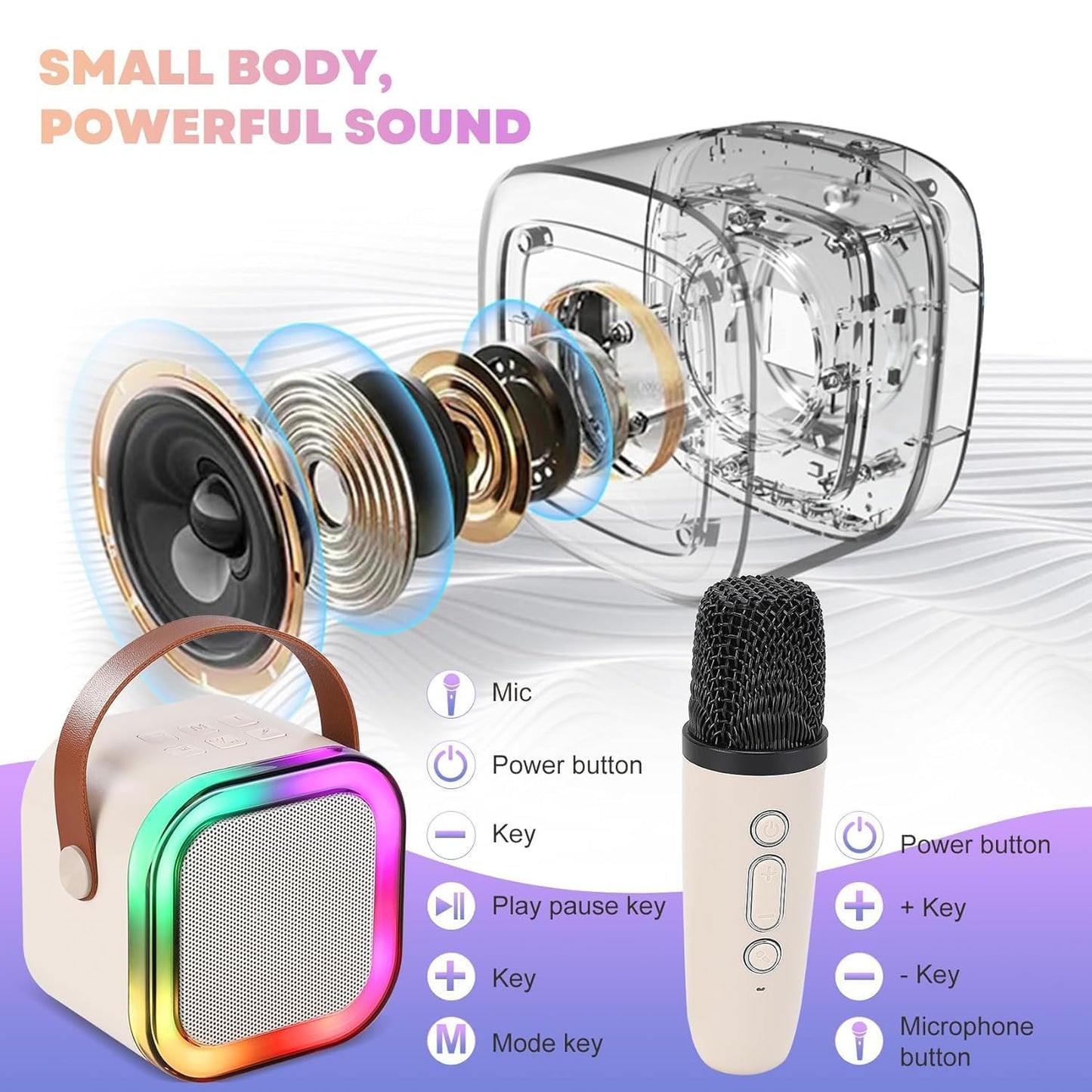 Rechargeable Bluetooth Karaoke Speaker with Wireless Microphone